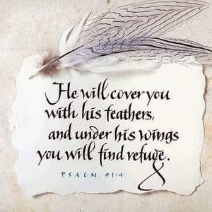 Meet your Posher, Michele